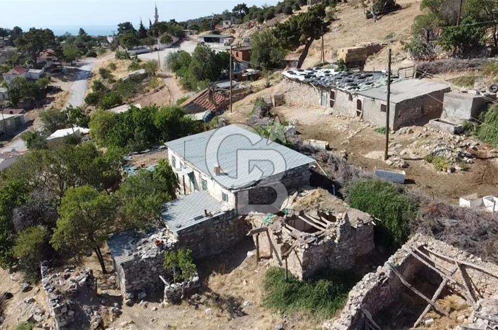 ACİL SATILIK AYVACIK KÖSEDERE'DE DENİZ MAZARALI KELEPİR ARSALAR