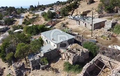 ACİL SATILIK AYVACIK KÖSEDERE'DE DENİZ MAZARALI KELEPİR ARSALAR