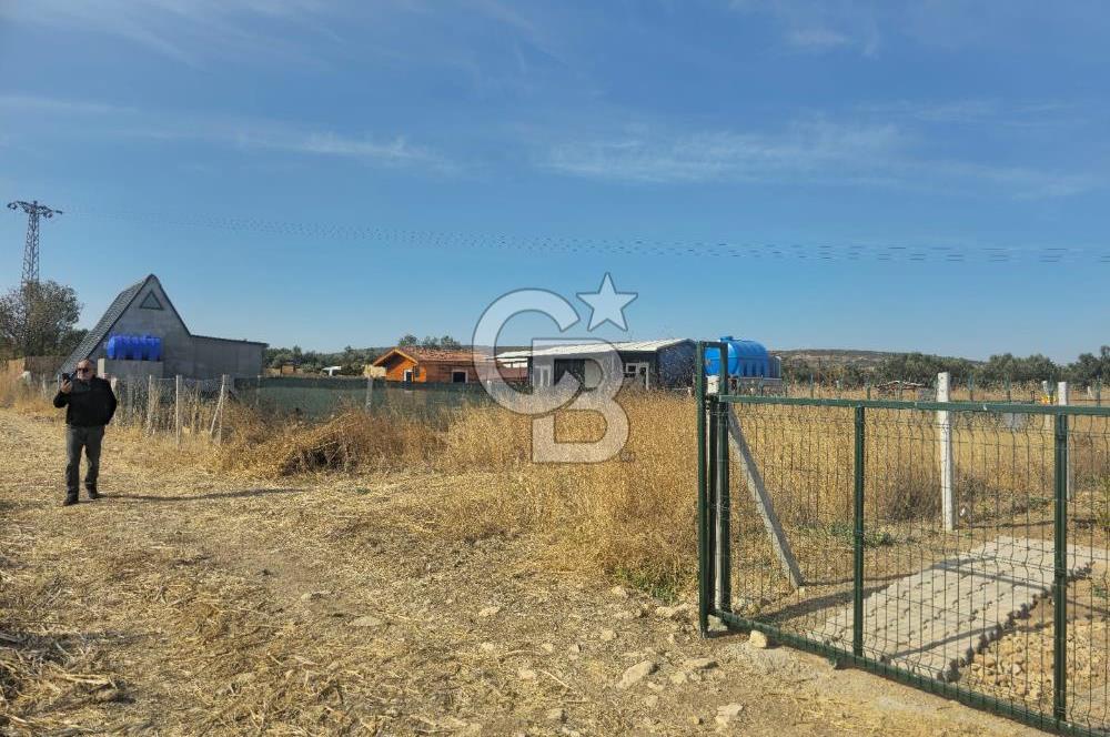 Menemen Türkellide Yatırımlık 206 M2 Satılık Tarla 