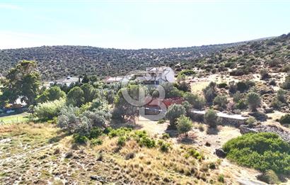 URLA ZEYTİNELİ SATILIK ARSA