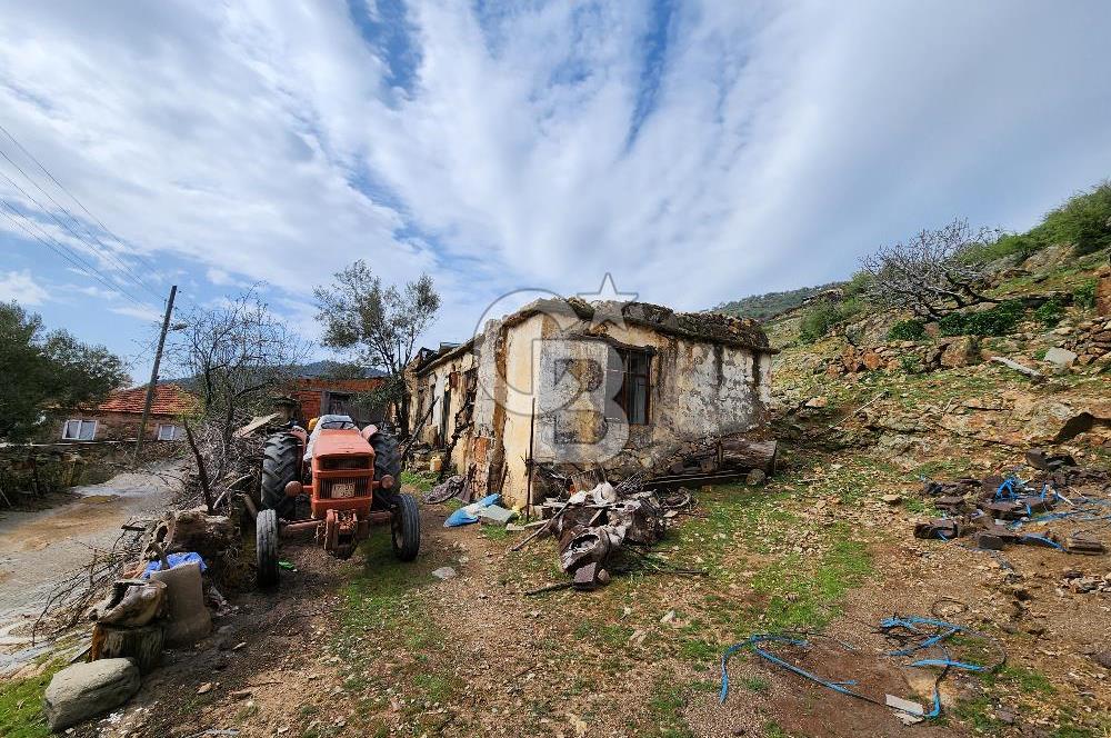 ÇANAKKALE AYVACIK KESTANELİK KÖYÜ SATILIK KERPİÇ EV VE ARSASI