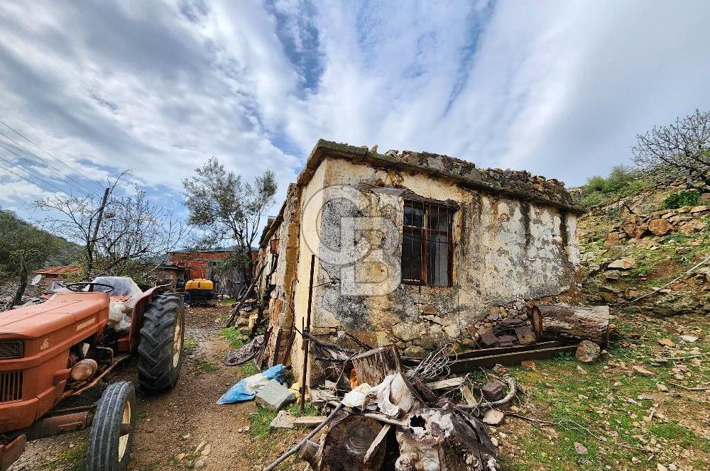 ÇANAKKALE AYVACIK KESTANELİK KÖYÜ SATILIK KERPİÇ EV VE ARSASI