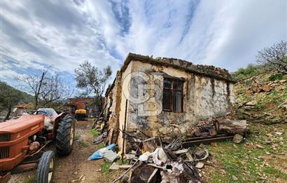ÇANAKKALE AYVACIK KESTANELİK KÖYÜ SATILIK KERPİÇ EV VE ARSASI