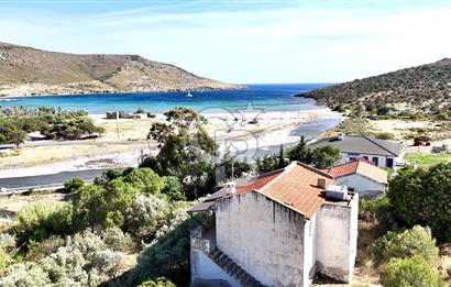 URLA ZEYTİNELİ SATILIK ARSA