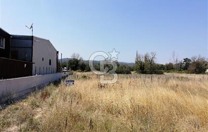NİLÜFER TAHTALI KÖYÜ SATILIK YATIRIMLIK TARLA