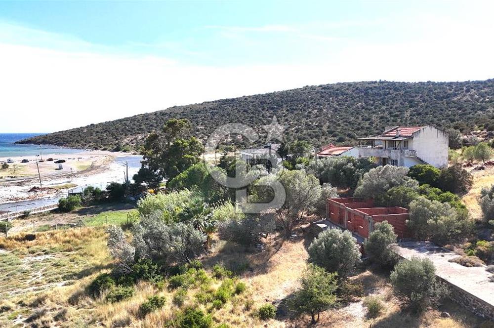 URLA ZEYTİNELİ SATILIK ARSA