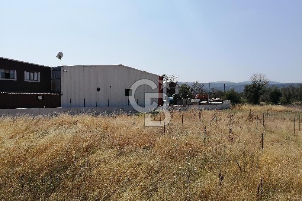 NİLÜFER TAHTALI KÖYÜ SATILIK YATIRIMLIK TARLA