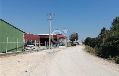 NİLÜFER TAHTALI KÖYÜ SATILIK YATIRIMLIK TARLA