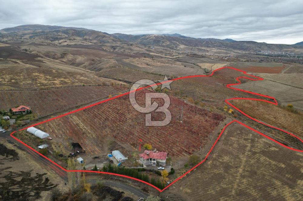KALECİK ŞENYURT'TA EKİPMANLARIYLA SATILIK 92.167 m2 ÜZÜM BAĞI