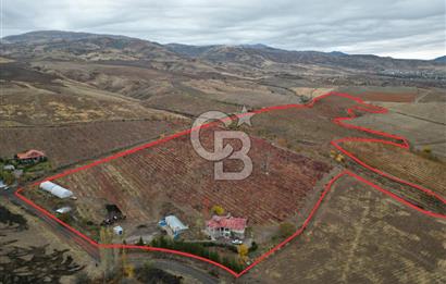 KALECİK ŞENYURT'TA EKİPMANLARIYLA SATILIK 92.167 m2 ÜZÜM BAĞI