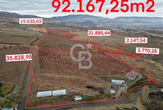 KALECİK ŞENYURT'TA EKİPMANLARIYLA SATILIK 92.167 m2 ÜZÜM BAĞI