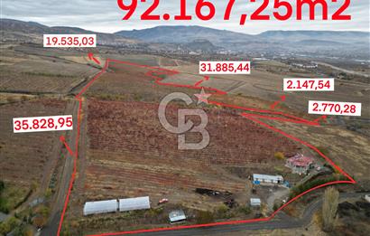KALECİK ŞENYURT'TA EKİPMANLARIYLA SATILIK 92.167 m2 ÜZÜM BAĞI
