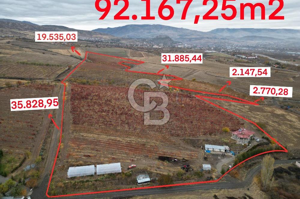 KALECİK ŞENYURT'TA EKİPMANLARIYLA SATILIK 92.167 m2 ÜZÜM BAĞI
