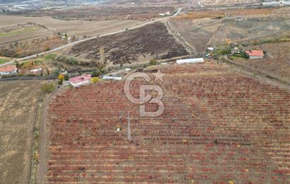KALECİK ŞENYURT'TA EKİPMANLARIYLA SATILIK 92.167 m2 ÜZÜM BAĞI