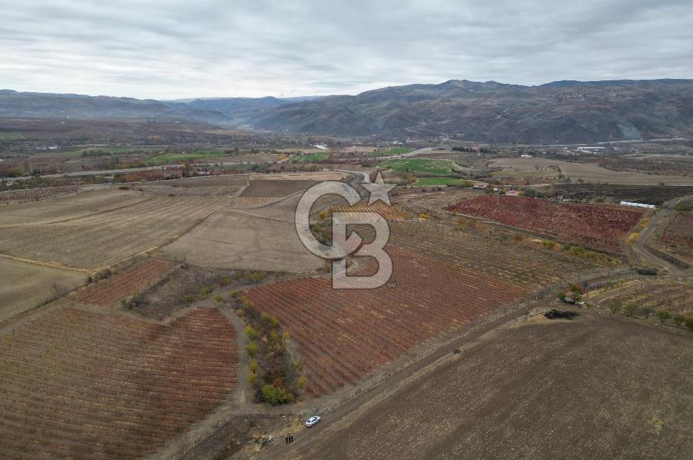 KALECİK ŞENYURT'TA EKİPMANLARIYLA SATILIK 92.167 m2 ÜZÜM BAĞI
