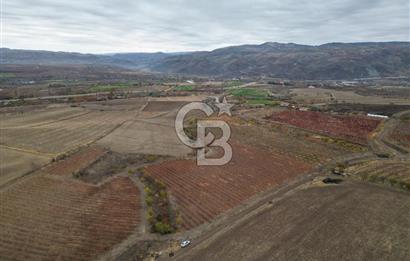 KALECİK ŞENYURT'TA EKİPMANLARIYLA SATILIK 92.167 m2 ÜZÜM BAĞI