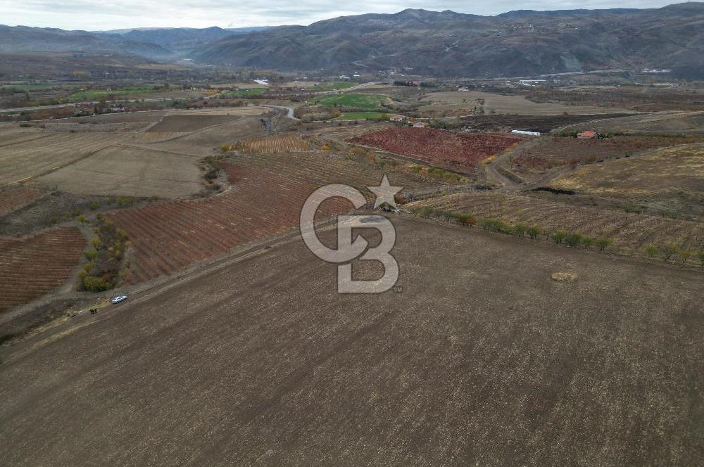KALECİK ŞENYURT'TA EKİPMANLARIYLA SATILIK 92.167 m2 ÜZÜM BAĞI