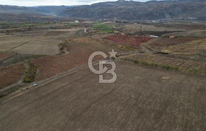 KALECİK ŞENYURT'TA EKİPMANLARIYLA SATILIK 92.167 m2 ÜZÜM BAĞI