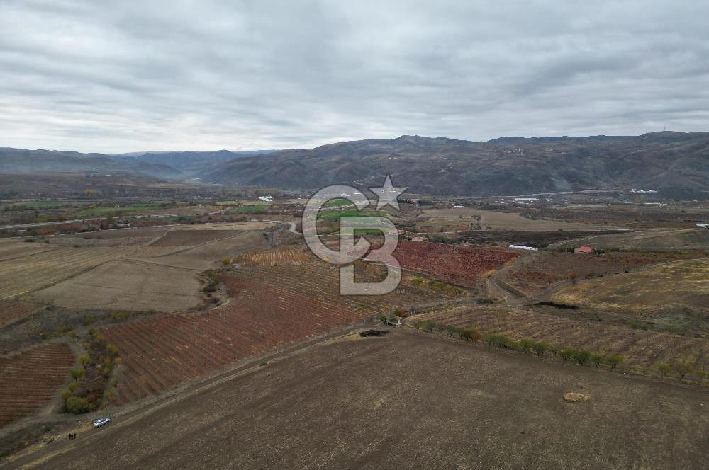 KALECİK ŞENYURT'TA EKİPMANLARIYLA SATILIK 92.167 m2 ÜZÜM BAĞI
