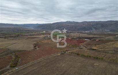 KALECİK ŞENYURT'TA EKİPMANLARIYLA SATILIK 92.167 m2 ÜZÜM BAĞI