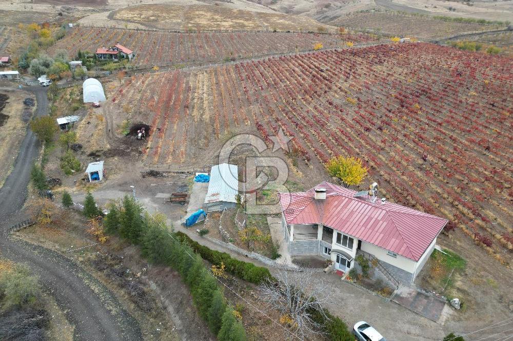 KALECİK ŞENYURT'TA EKİPMANLARIYLA SATILIK 92.167 m2 ÜZÜM BAĞI