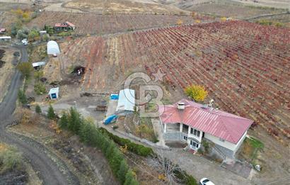 KALECİK ŞENYURT'TA EKİPMANLARIYLA SATILIK 92.167 m2 ÜZÜM BAĞI