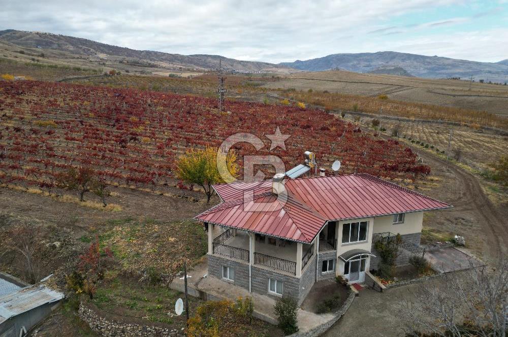 KALECİK ŞENYURT'TA EKİPMANLARIYLA SATILIK 92.167 m2 ÜZÜM BAĞI