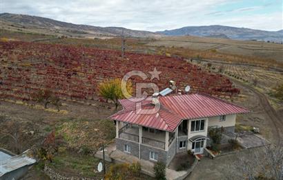 KALECİK ŞENYURT'TA EKİPMANLARIYLA SATILIK 92.167 m2 ÜZÜM BAĞI