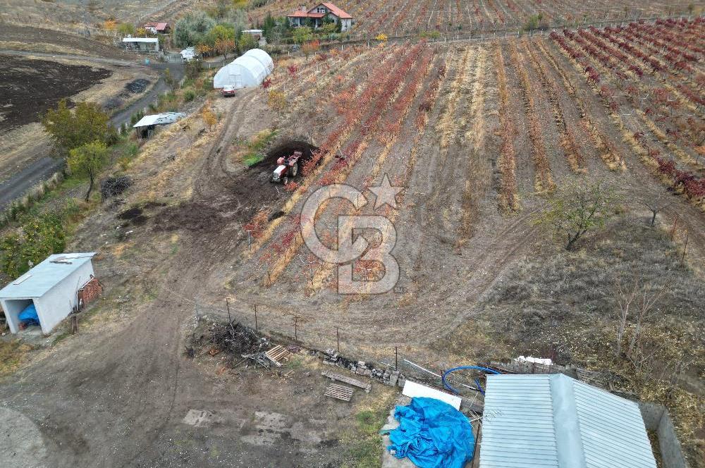 KALECİK ŞENYURT'TA EKİPMANLARIYLA SATILIK 92.167 m2 ÜZÜM BAĞI