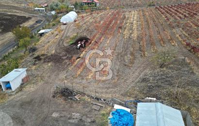 KALECİK ŞENYURT'TA EKİPMANLARIYLA SATILIK 92.167 m2 ÜZÜM BAĞI