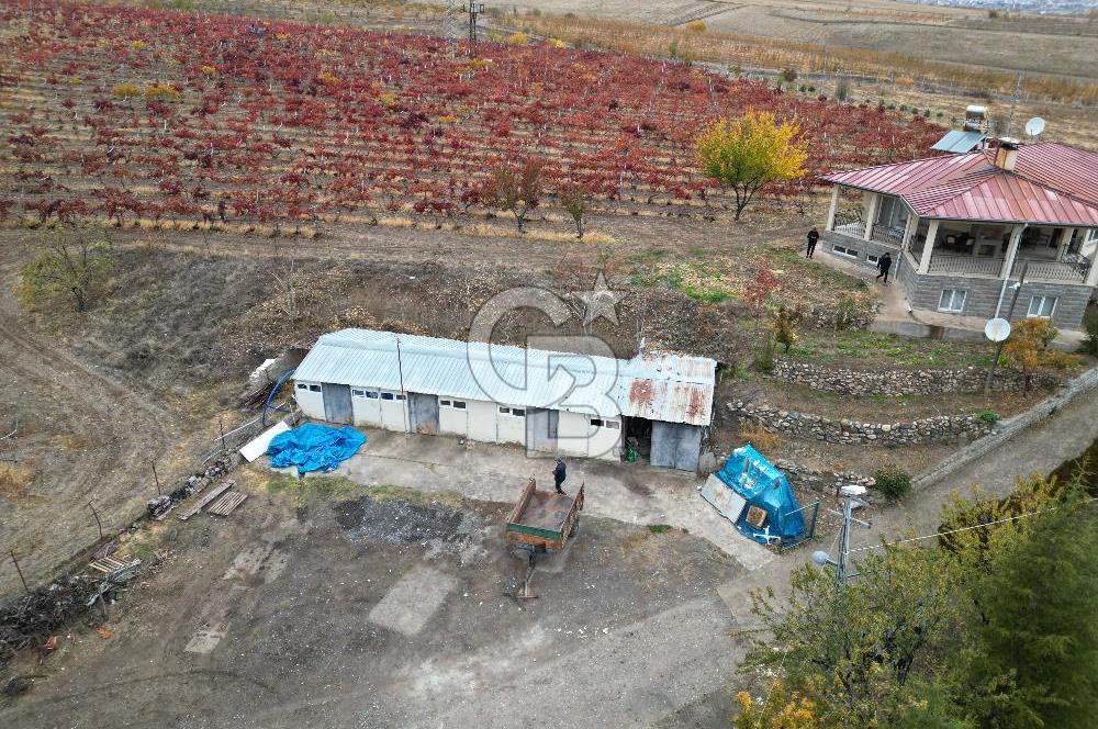 KALECİK ŞENYURT'TA EKİPMANLARIYLA SATILIK 92.167 m2 ÜZÜM BAĞI