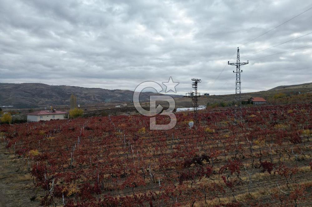 KALECİK ŞENYURT'TA EKİPMANLARIYLA SATILIK 92.167 m2 ÜZÜM BAĞI
