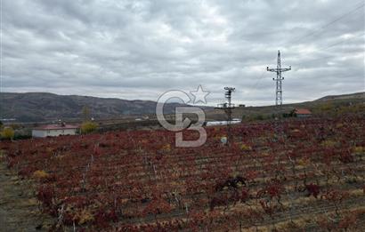KALECİK ŞENYURT'TA EKİPMANLARIYLA SATILIK 92.167 m2 ÜZÜM BAĞI
