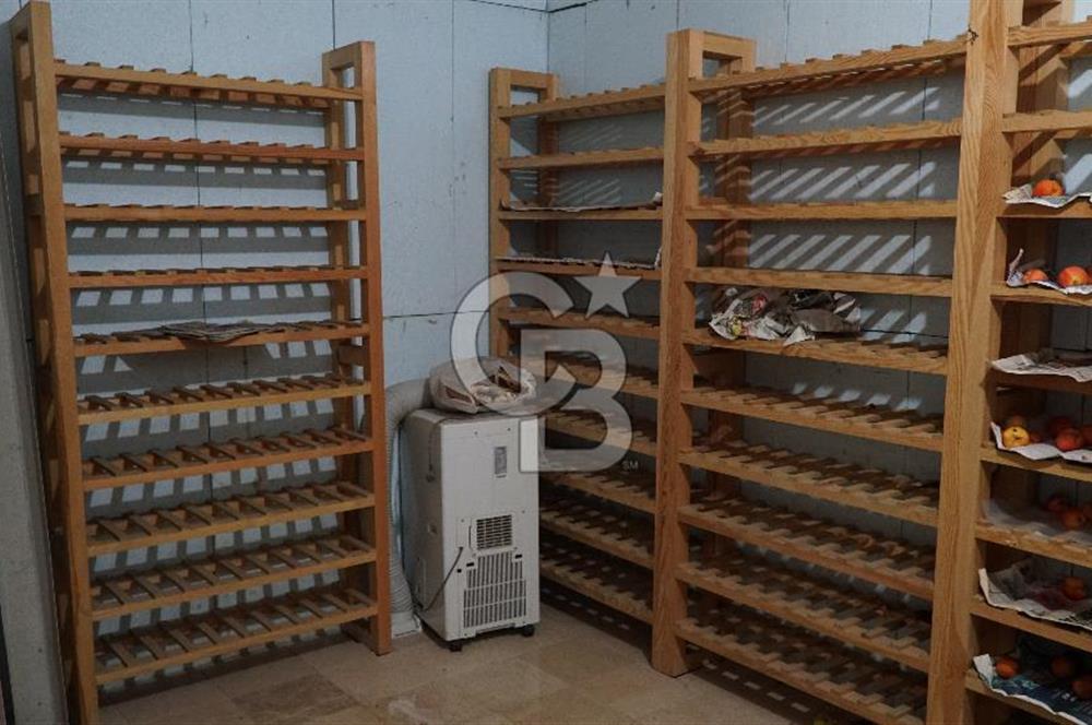 KALECİK ŞENYURT'TA EKİPMANLARIYLA SATILIK 92.167 m2 ÜZÜM BAĞI