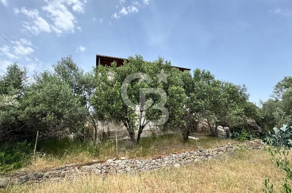 URLA ZEYTİNELİ SATILIK ARSA