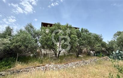 URLA ZEYTİNELİ SATILIK ARSA
