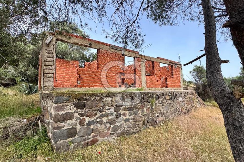 URLA ZEYTİNELİ SATILIK ARSA