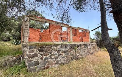 URLA ZEYTİNELİ SATILIK ARSA