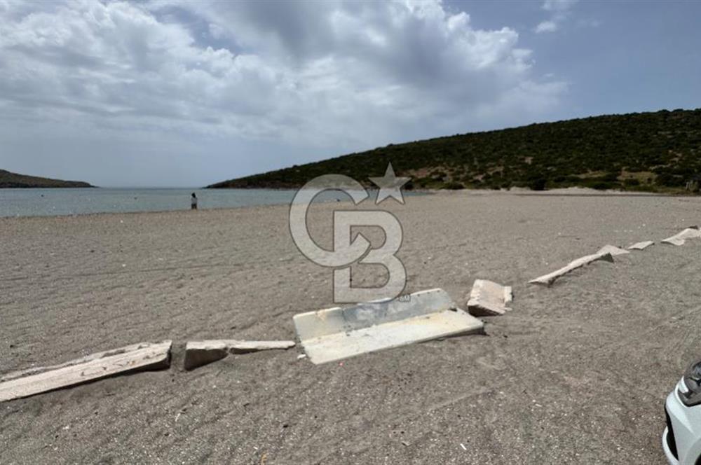 URLA ZEYTİNELİ SATILIK ARSA