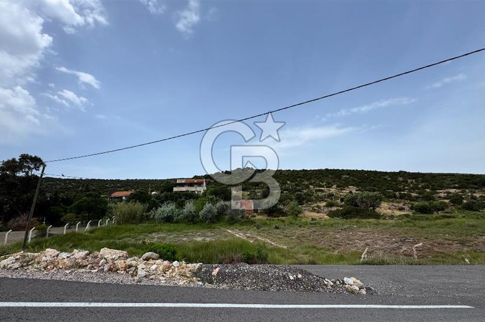 URLA ZEYTİNELİ SATILIK ARSA