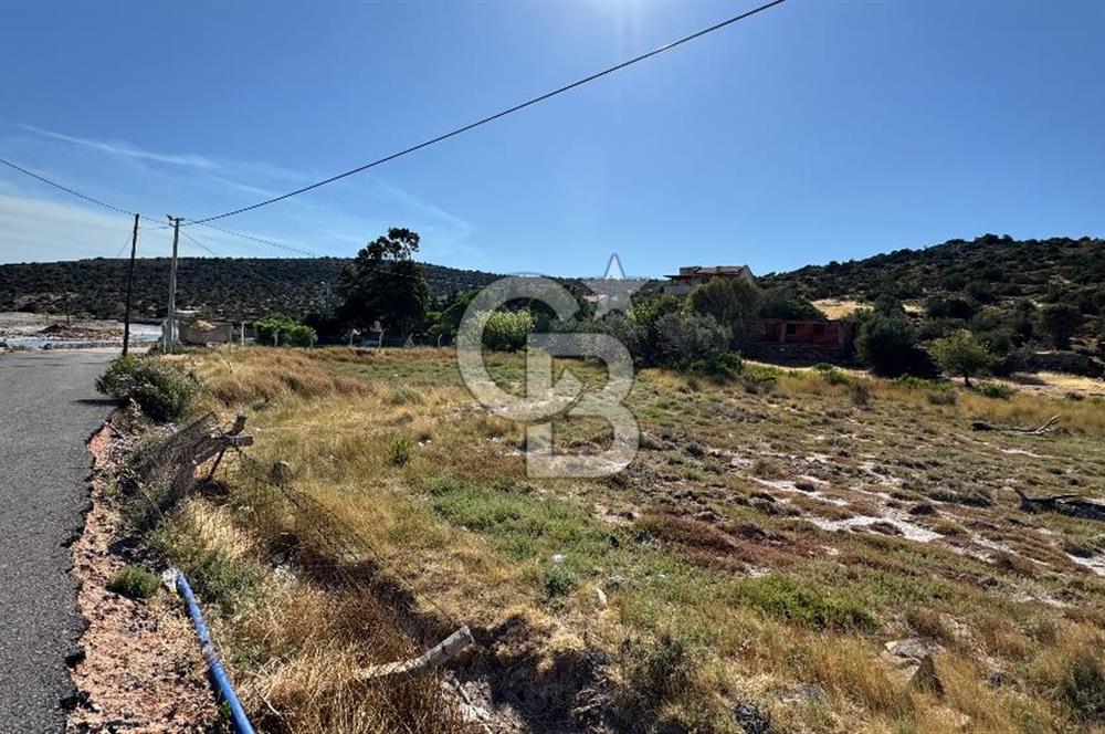 URLA ZEYTİNELİ SATILIK ARSA
