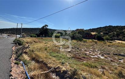 URLA ZEYTİNELİ SATILIK ARSA