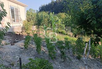 CB CLASS MUDANYA YÖRÜKALİ DE 1750 M2 BAĞ EVİ ELEKTRİK SU VE YOL