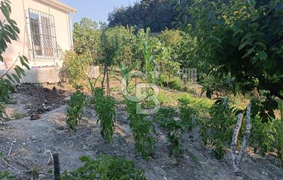 CB CLASS MUDANYA YÖRÜKALİ DE 1750 M2 BAĞ EVİ ELEKTRİK SU VE YOL