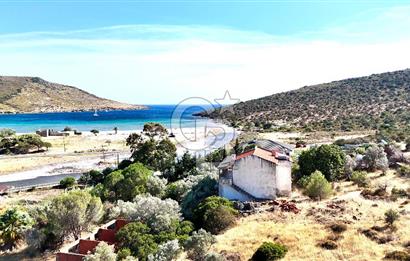URLA ZEYTİNELİ SATILIK ARSA