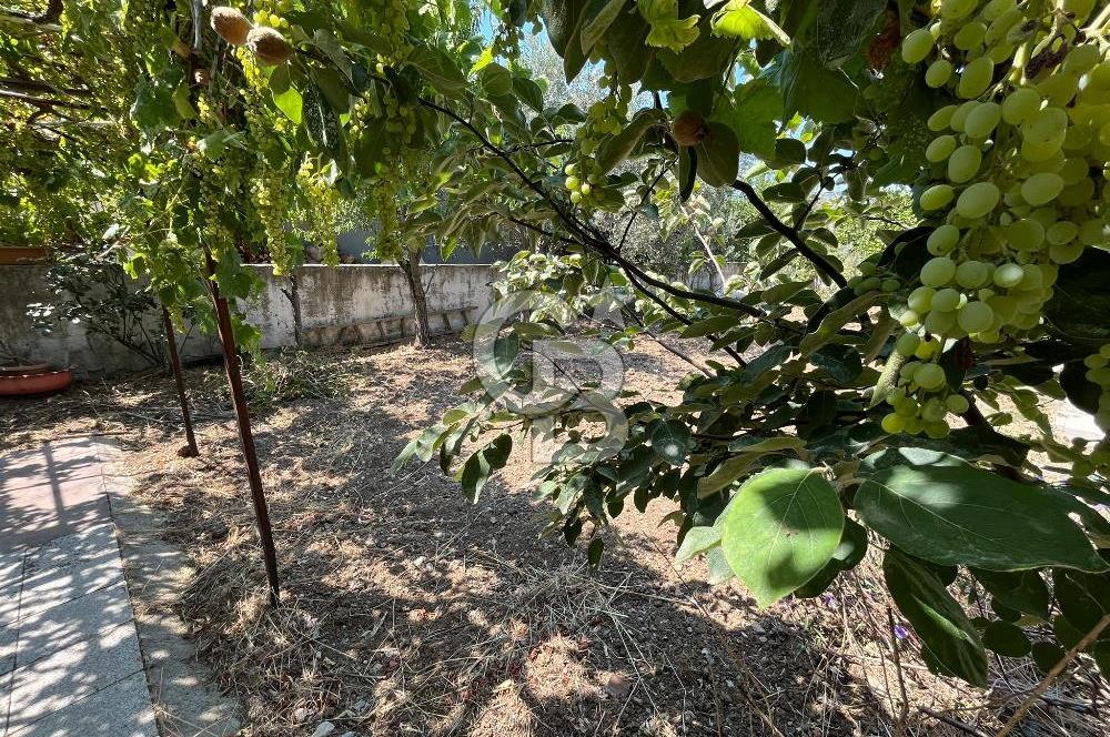 Urla Torasan Mahallesi 328 m2 Arsa İçerisinde Müstakil Ev