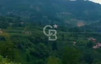 TURİZM ALTYAPISI HAZIR İÇİNDE KAYNAK SUYU BULUNAN SATILIK ÇAY BAHÇESİ