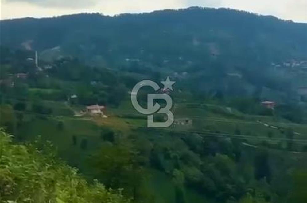TURİZM ALTYAPISI HAZIR İÇİNDE KAYNAK SUYU BULUNAN SATILIK ÇAY BAHÇESİ