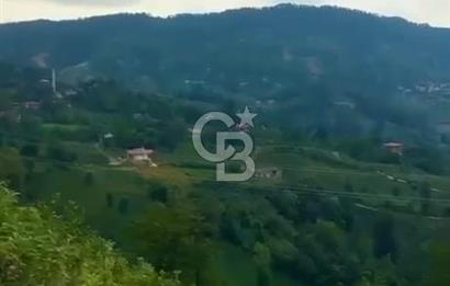 TURİZM ALTYAPISI HAZIR İÇİNDE KAYNAK SUYU BULUNAN SATILIK ÇAY BAHÇESİ