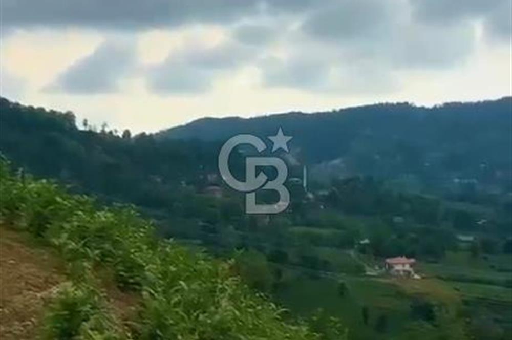 TURİZM ALTYAPISI HAZIR İÇİNDE KAYNAK SUYU BULUNAN SATILIK ÇAY BAHÇESİ